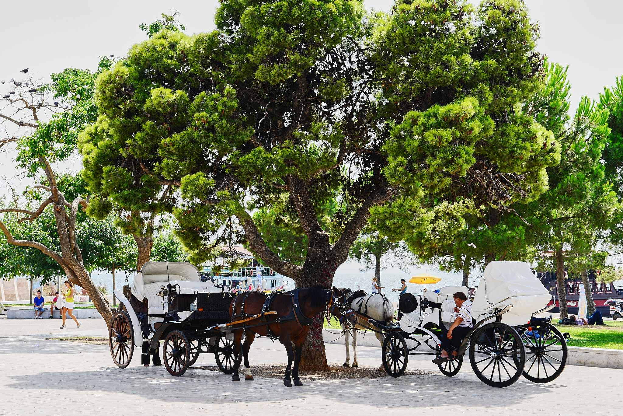20130810 001 데살로니키 레프코스 피르고스
